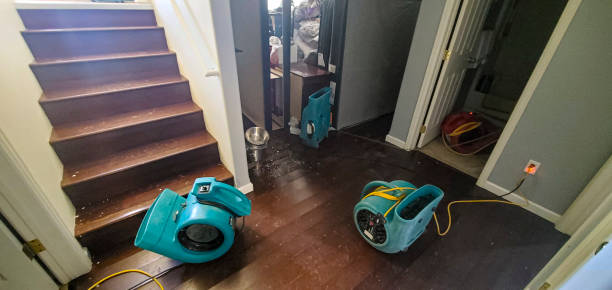 Best Sewage cleanup and water damage restoration  in Highland Acres, DE