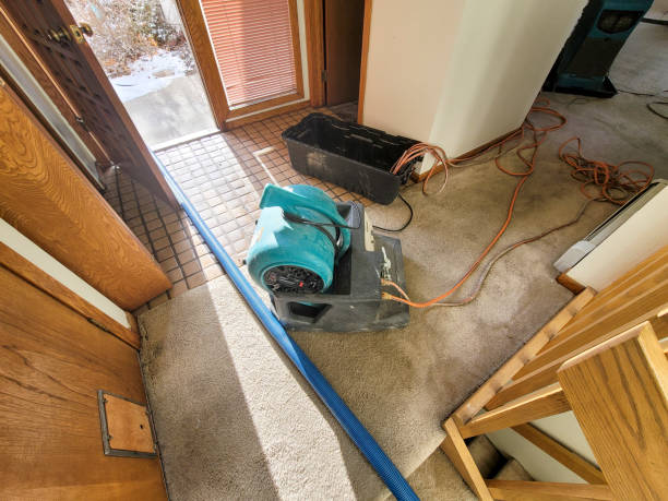 Reliable DE Water damage restoration Solutions