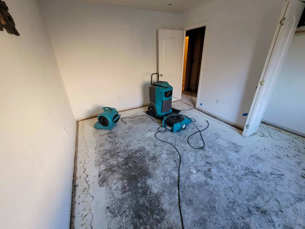 Best Flood damage cleanup  in Highland Acres, DE