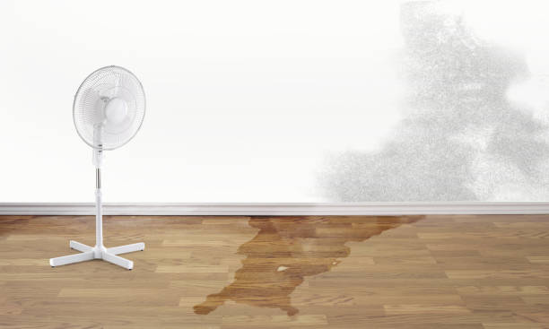 Best Water damage restoration cost  in Highland Acres, DE