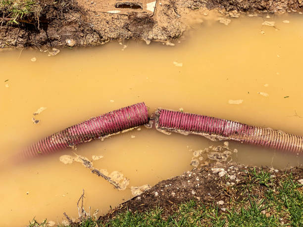 Best Flood restoration services  in Highland Acres, DE
